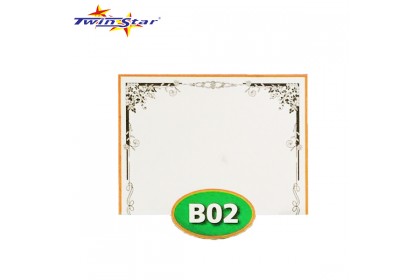 TS 3010 Twin Star Hot Stamping Certificate Gold Border Card