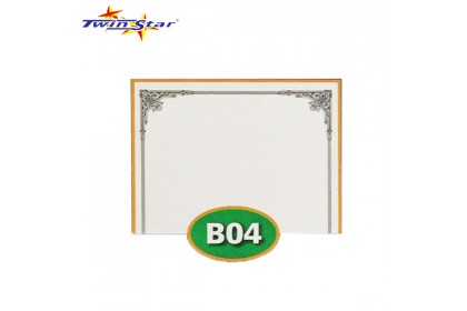 TS 3010 Twin Star Hot Stamping Certificate Gold Border Card
