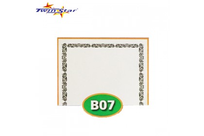 TS 3010 Twin Star Hot Stamping Certificate Gold Border Card
