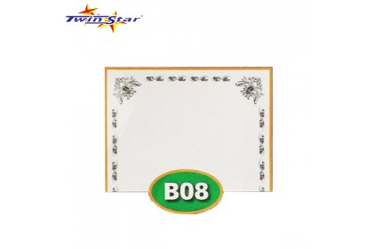 TS 3010 Twin Star Hot Stamping Certificate Gold Border Card