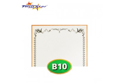 TS 3010 Twin Star Hot Stamping Certificate Gold Border Card