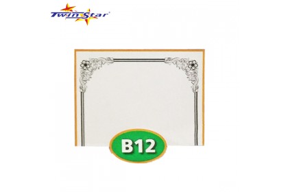 TS 3010 Twin Star Hot Stamping Certificate Gold Border Card