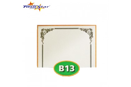 TS 3010 Twin Star Hot Stamping Certificate Gold Border Card