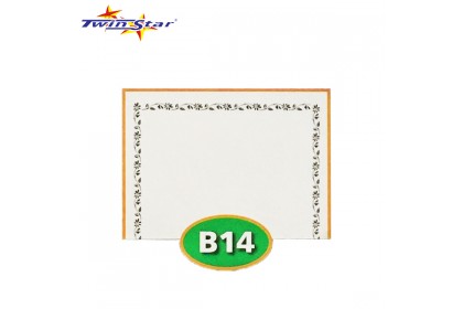 TS 3010 Twin Star Hot Stamping Certificate Gold Border Card