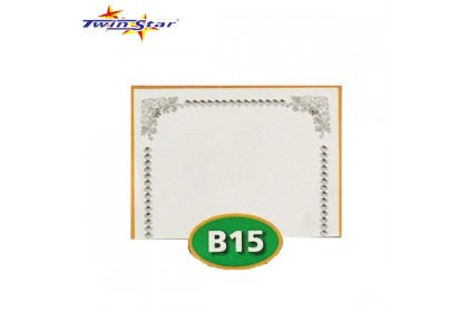 TS 3010 Twin Star Hot Stamping Certificate Gold Border Card