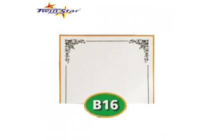 TS 3010 Twin Star Hot Stamping Certificate Gold Border Card