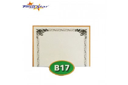 TS 3010 Twin Star Hot Stamping Certificate Gold Border Card