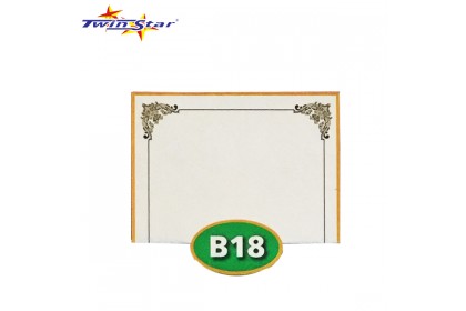 TS 3010 Twin Star Hot Stamping Certificate Gold Border Card