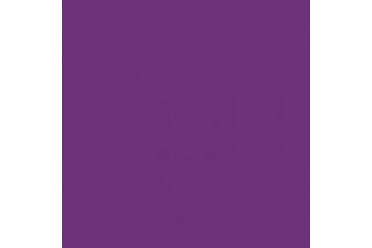 TS 4002 Twin Star A2 Size Colour Eva Foam (10pcs)