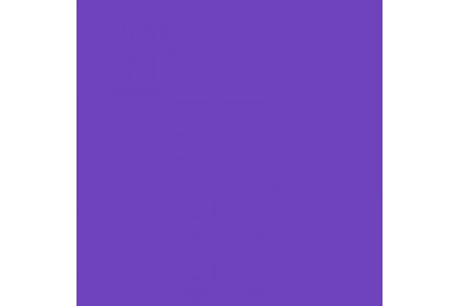 TS 1030 Twin Star Crepe Paper (50cm x 2.5m)